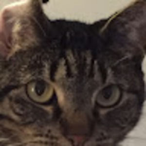 Meet your Posher, Nicholas